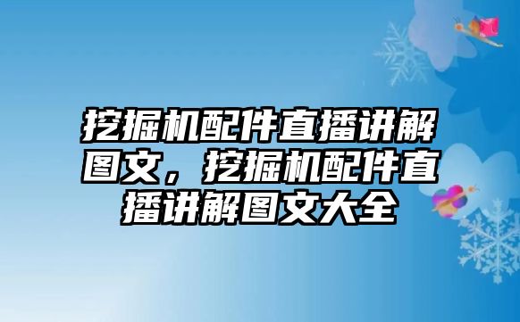 挖掘機(jī)配件直播講解圖文，挖掘機(jī)配件直播講解圖文大全