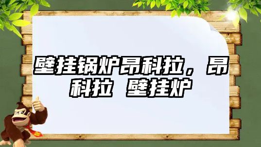 壁掛鍋爐昂科拉，昂科拉 壁掛爐