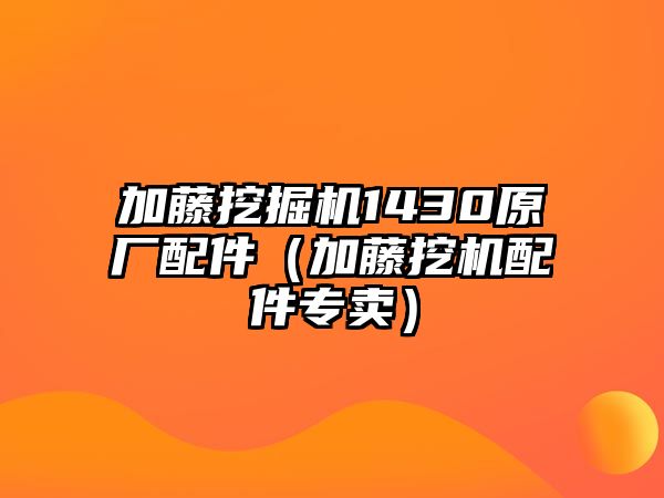 加藤挖掘機1430原廠配件（加藤挖機配件專賣）