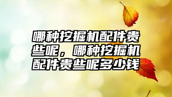 哪種挖掘機配件貴些呢，哪種挖掘機配件貴些呢多少錢