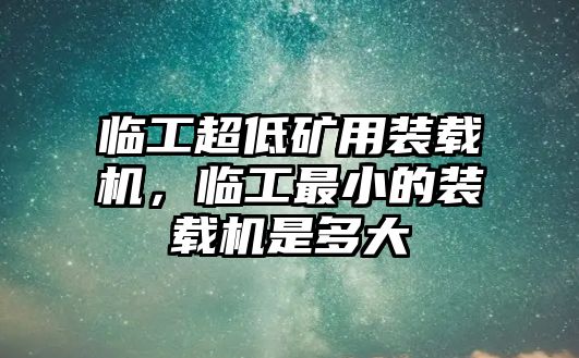 臨工超低礦用裝載機(jī)，臨工最小的裝載機(jī)是多大