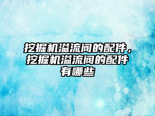 挖掘機溢流閥的配件，挖掘機溢流閥的配件有哪些