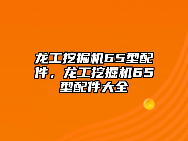 龍工挖掘機65型配件，龍工挖掘機65型配件大全