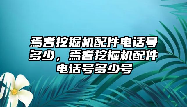 焉耆挖掘機(jī)配件電話號(hào)多少，焉耆挖掘機(jī)配件電話號(hào)多少號(hào)