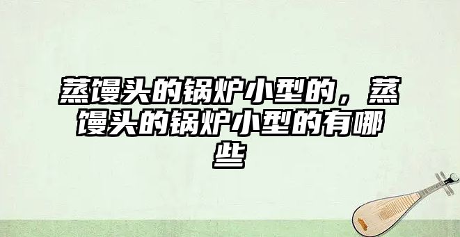 蒸饅頭的鍋爐小型的，蒸饅頭的鍋爐小型的有哪些