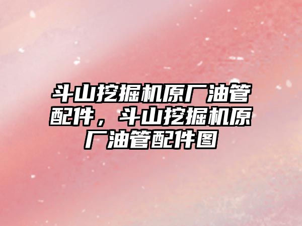 斗山挖掘機原廠油管配件，斗山挖掘機原廠油管配件圖