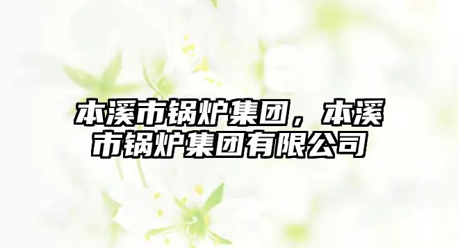 本溪市鍋爐集團，本溪市鍋爐集團有限公司