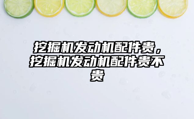 挖掘機發(fā)動機配件貴，挖掘機發(fā)動機配件貴不貴