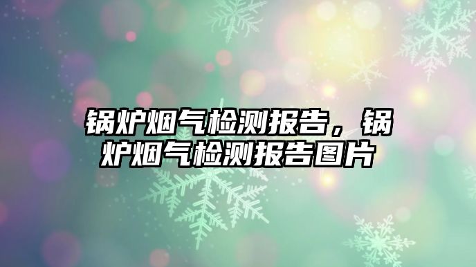 鍋爐煙氣檢測(cè)報(bào)告，鍋爐煙氣檢測(cè)報(bào)告圖片