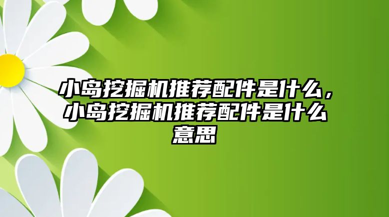 小島挖掘機推薦配件是什么，小島挖掘機推薦配件是什么意思