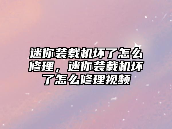 迷你裝載機壞了怎么修理，迷你裝載機壞了怎么修理視頻