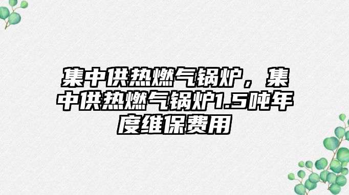 集中供熱燃氣鍋爐，集中供熱燃氣鍋爐1.5噸年度維保費用