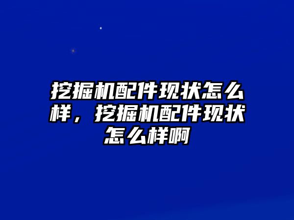 挖掘機配件現(xiàn)狀怎么樣，挖掘機配件現(xiàn)狀怎么樣啊