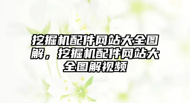 挖掘機配件網(wǎng)站大全圖解，挖掘機配件網(wǎng)站大全圖解視頻