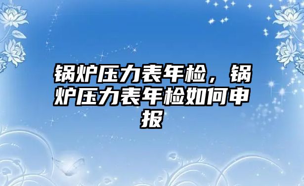 鍋爐壓力表年檢，鍋爐壓力表年檢如何申報(bào)