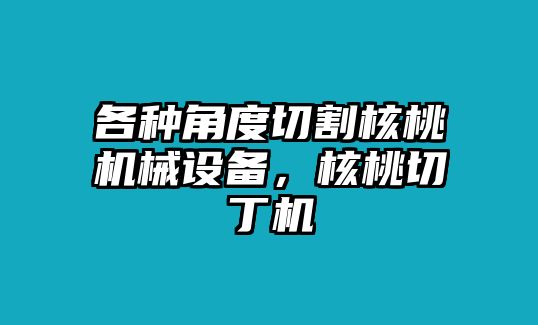 各種角度切割核桃機械設(shè)備，核桃切丁機