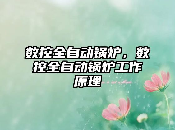 數(shù)控全自動鍋爐，數(shù)控全自動鍋爐工作原理