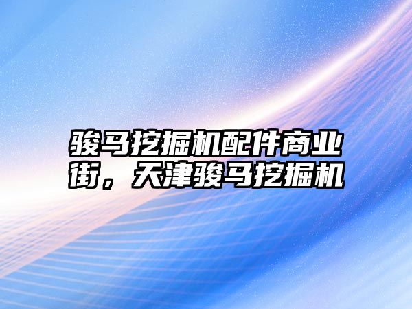 駿馬挖掘機配件商業(yè)街，天津駿馬挖掘機