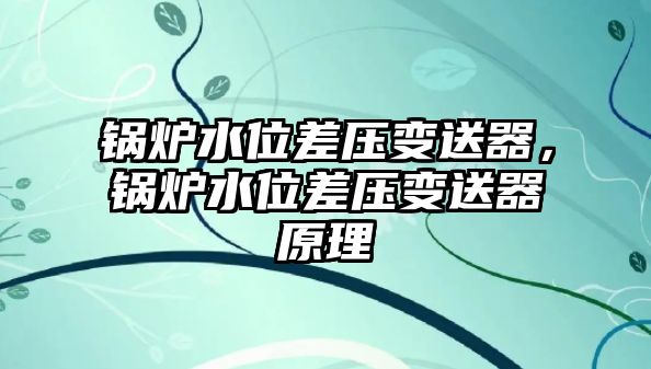 鍋爐水位差壓變送器，鍋爐水位差壓變送器原理