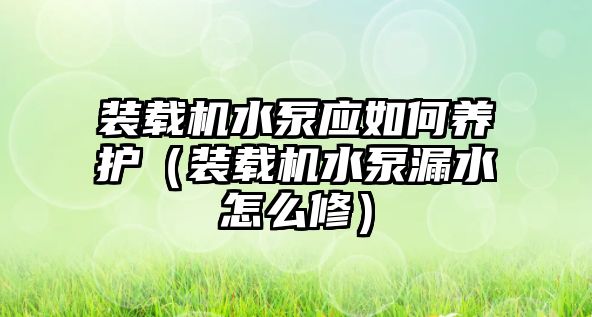 裝載機水泵應(yīng)如何養(yǎng)護（裝載機水泵漏水怎么修）