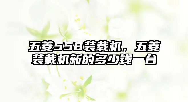 五菱558裝載機(jī)，五菱裝載機(jī)新的多少錢一臺(tái)