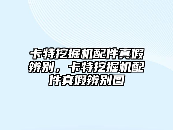 卡特挖掘機(jī)配件真假辨別，卡特挖掘機(jī)配件真假辨別圖