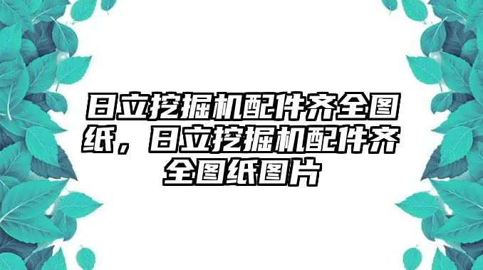 日立挖掘機(jī)配件齊全圖紙，日立挖掘機(jī)配件齊全圖紙圖片