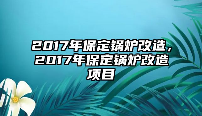 2017年保定鍋爐改造，2017年保定鍋爐改造項(xiàng)目