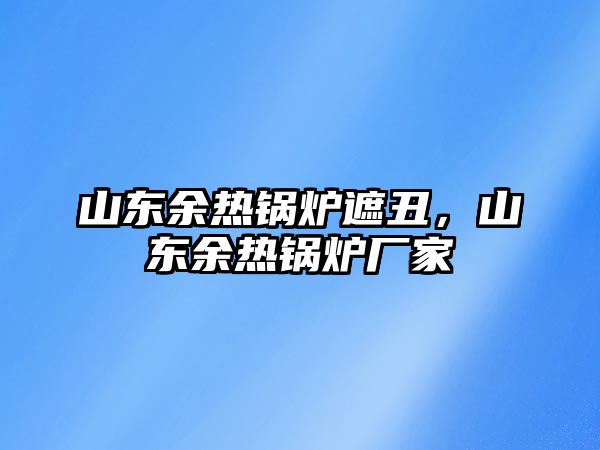 山東余熱鍋爐遮丑，山東余熱鍋爐廠家