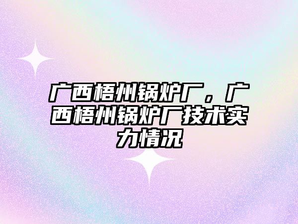 廣西梧州鍋爐廠，廣西梧州鍋爐廠技術實力情況