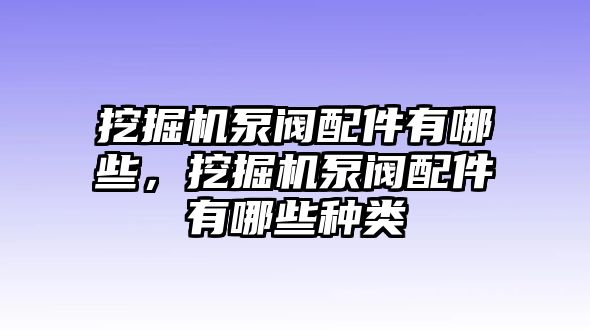 挖掘機泵閥配件有哪些，挖掘機泵閥配件有哪些種類