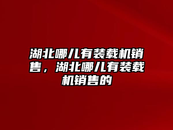 湖北哪兒有裝載機銷售，湖北哪兒有裝載機銷售的