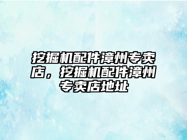 挖掘機配件漳州專賣店，挖掘機配件漳州專賣店地址