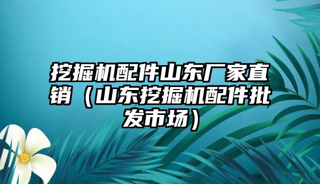 挖掘機配件山東廠家直銷（山東挖掘機配件批發(fā)市場）