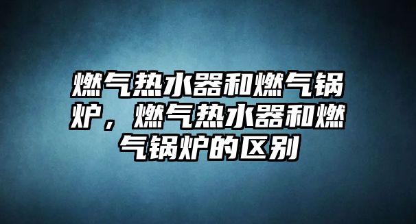 燃?xì)鉄崴骱腿細(xì)忮仩t，燃?xì)鉄崴骱腿細(xì)忮仩t的區(qū)別