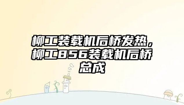 柳工裝載機后橋發(fā)熱，柳工856裝載機后橋總成