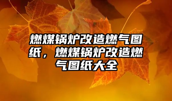 燃煤鍋爐改造燃?xì)鈭D紙，燃煤鍋爐改造燃?xì)鈭D紙大全