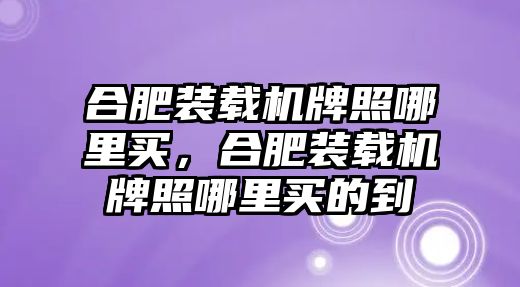 合肥裝載機牌照哪里買，合肥裝載機牌照哪里買的到