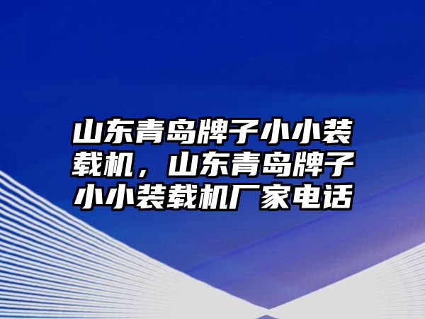 山東青島牌子小小裝載機，山東青島牌子小小裝載機廠家電話