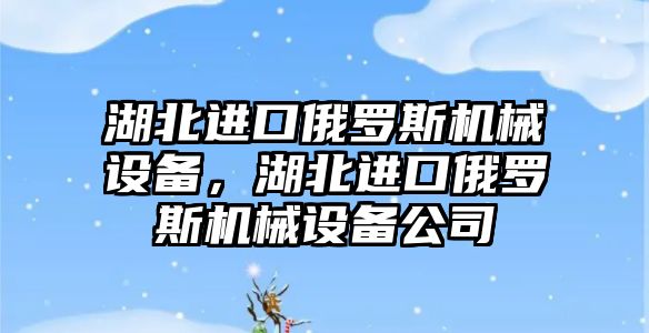 湖北進口俄羅斯機械設備，湖北進口俄羅斯機械設備公司