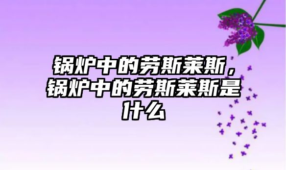 鍋爐中的勞斯萊斯，鍋爐中的勞斯萊斯是什么