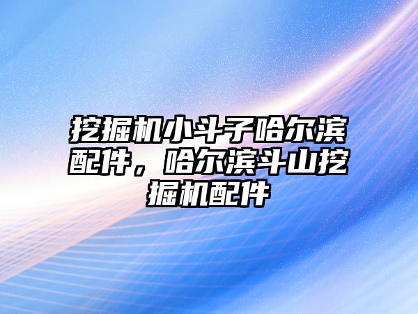 挖掘機(jī)小斗子哈爾濱配件，哈爾濱斗山挖掘機(jī)配件