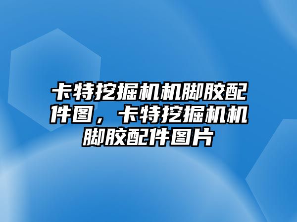 卡特挖掘機機腳膠配件圖，卡特挖掘機機腳膠配件圖片