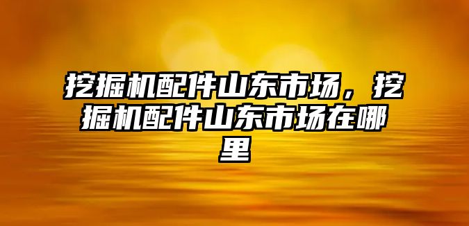 挖掘機配件山東市場，挖掘機配件山東市場在哪里