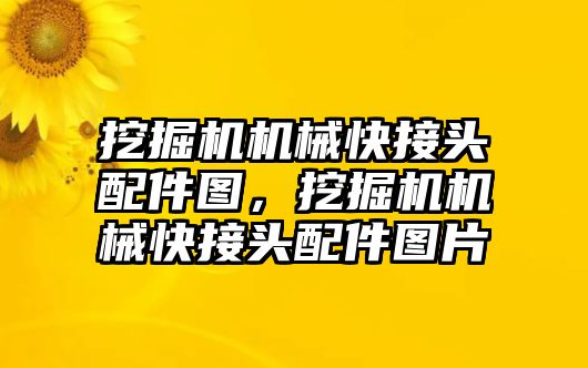 挖掘機機械快接頭配件圖，挖掘機機械快接頭配件圖片