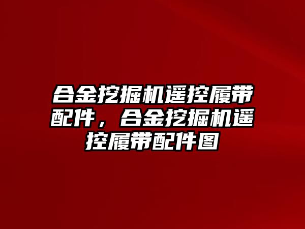 合金挖掘機遙控履帶配件，合金挖掘機遙控履帶配件圖