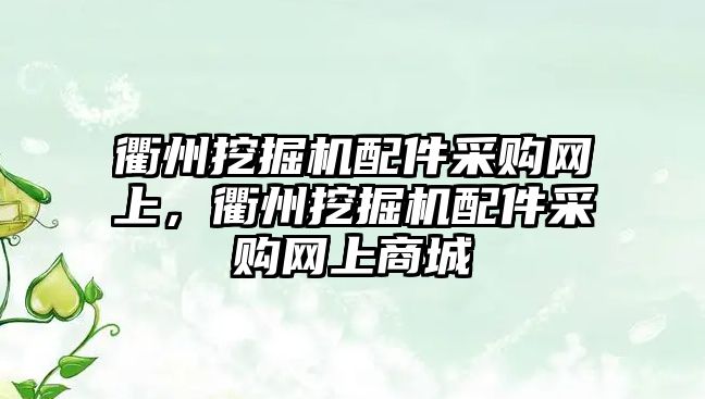 衢州挖掘機配件采購網上，衢州挖掘機配件采購網上商城