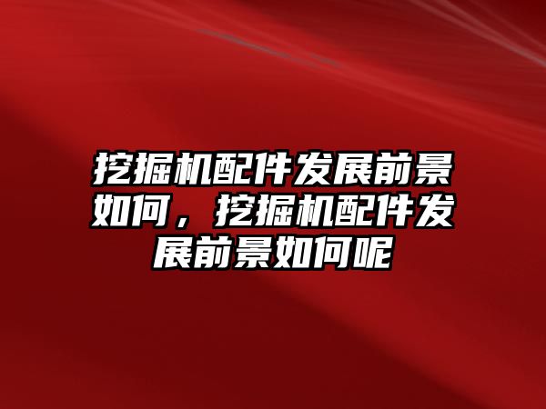 挖掘機配件發(fā)展前景如何，挖掘機配件發(fā)展前景如何呢