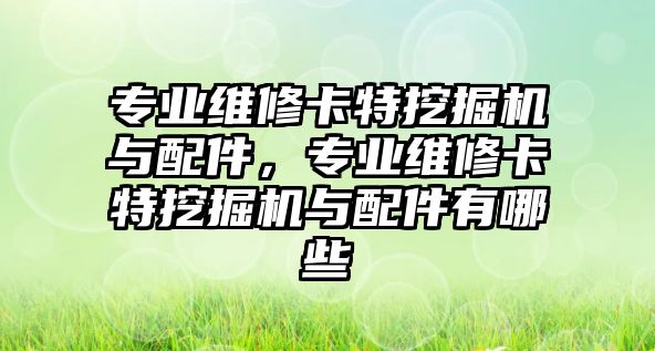 專業(yè)維修卡特挖掘機與配件，專業(yè)維修卡特挖掘機與配件有哪些