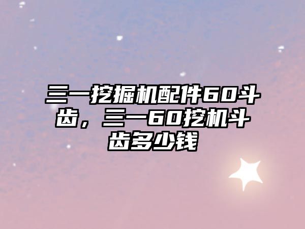 三一挖掘機(jī)配件60斗齒，三一60挖機(jī)斗齒多少錢